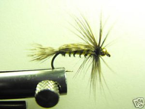 1 Dozen  BH Tellico Nymph - Wet Fly - Trout & Steelhead