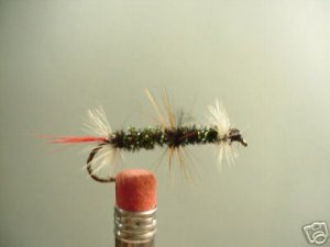 1 Dozen - Deluxe Peacock Renegade - Wet Fly Streamer