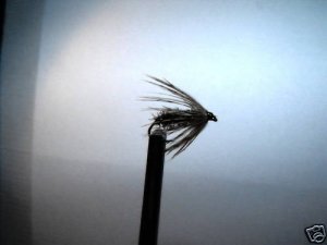 1 Dzn - Soft Hackle Peacock  Caddis Nymph Wet Fly Trout