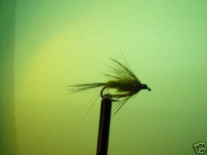 1 Dzn - Soft Hackle Olive Caddis I  Nymph Wet Fly Trout