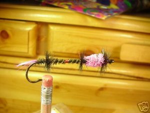 1 Dozen - Steelhead & Salmon - Wet Fly - Assortment