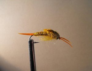 1 dozen - BH Golden Stonefly Nymph - Trout Wet Fly