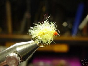 1 Dzn - Estaz Egg  Trout, Steelhead Fly Assortment