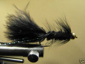 1 Dzn - BH Woolly Bugger - Trout or Pan fish -  Black