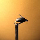 1 Dzn - Backswimmers Dry Fly - Trout, Pearch, Panfish