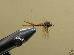 12 Brass Bead Birds Nest Nymph Wet Fly Trout, Steelhead