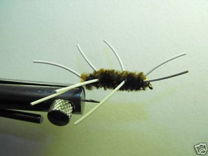 1 Dzn  BH Girdle Bug  -  Trout Steelhead Bass - Wet Fly