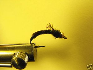 1 Dzn -  BH Mono Nymph -  Trout Steelhead Assortment