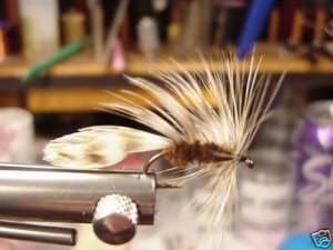 1 Dozen Matuka Wet Fly
