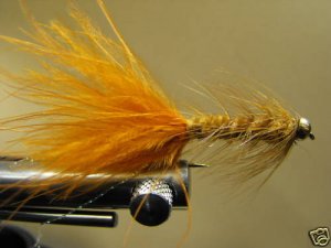 1 Dzn - BH  Woolly Bugger - Trout or Pan fish -  Brown