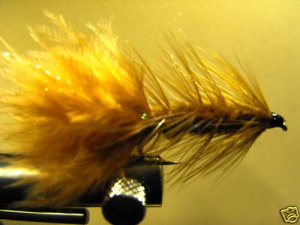 1 Dzn - Woolly Bugger - Trout or Pan fish -  Brown