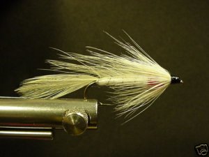 12 White Matuka Wet Fly - Trout, Salmon, Steelhead