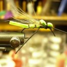1 Dzn  -  Chartruce Grass Hopper - Dry Fly Assortment