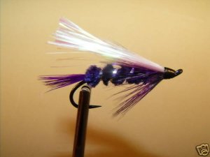6 Flies - Street Walker Salmon Steelhead Trout Wet Fly