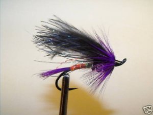 6 Flies - Signal Light - Salmon Steelhead Trout Wet Fly