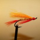 6 Flies - Fall Favorite Salmon Steelhead Trout Wet Fly