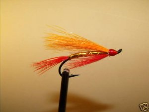 6 Flies - Fall Favorite Salmon Steelhead Trout Wet Fly