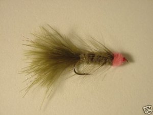 1 Dozen Olive Leech with Egg Wet Fly  Trout Steelhead
