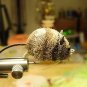 4 each - Fly Fishing DEER HAIR MOUSE RAT BASS Fly  Sz 2