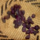 Ruby - for generosity, devotion and prosperity