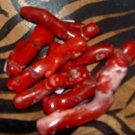 Red Coral - for visualization, grounding and meditation