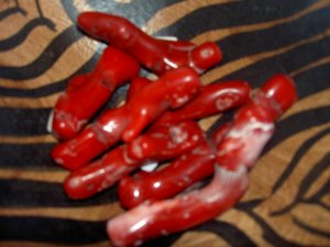Red Coral - for visualization, grounding and meditation