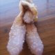 Unique Specimens