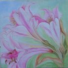 In Shades of Pink