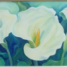 arum lilies
