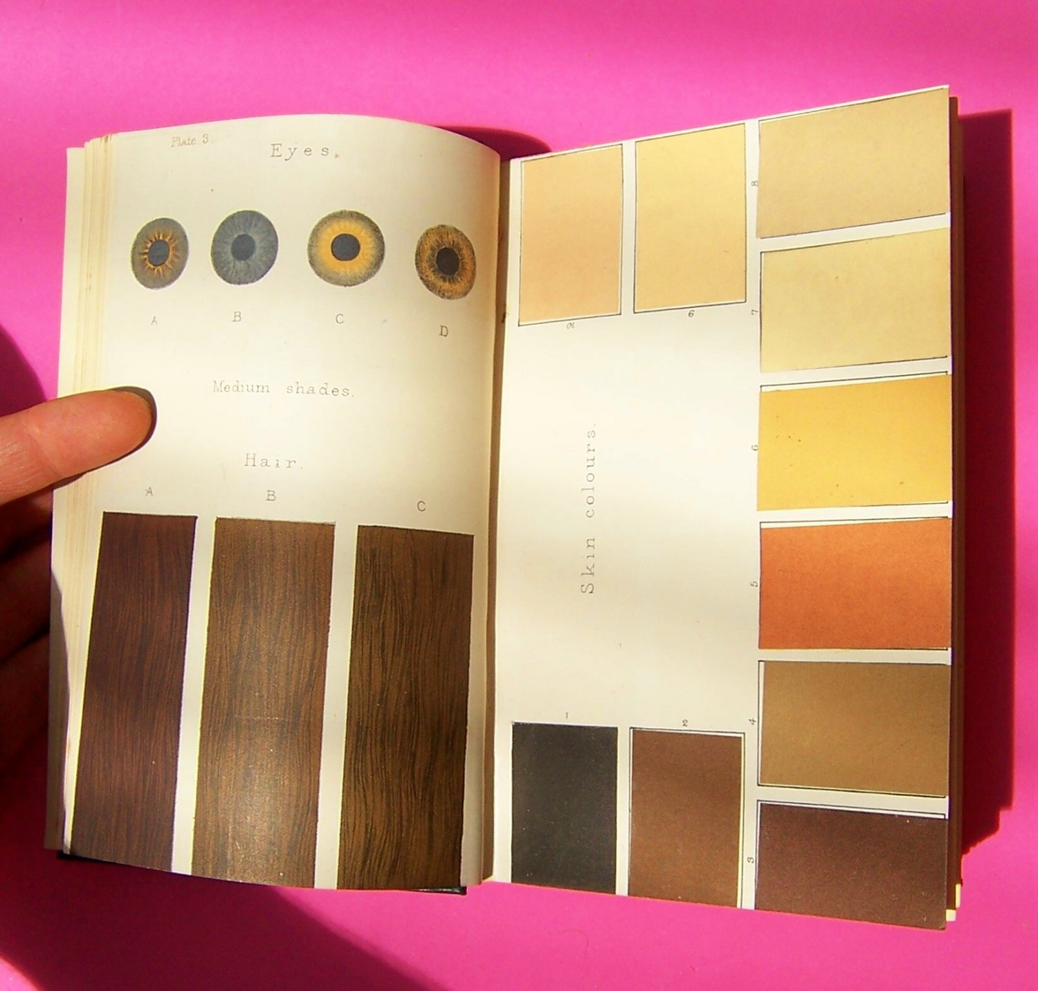 Notes And Queries On Anthropology by Garson and Read