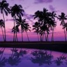 Paradise Island