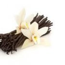 Vanilla Bean