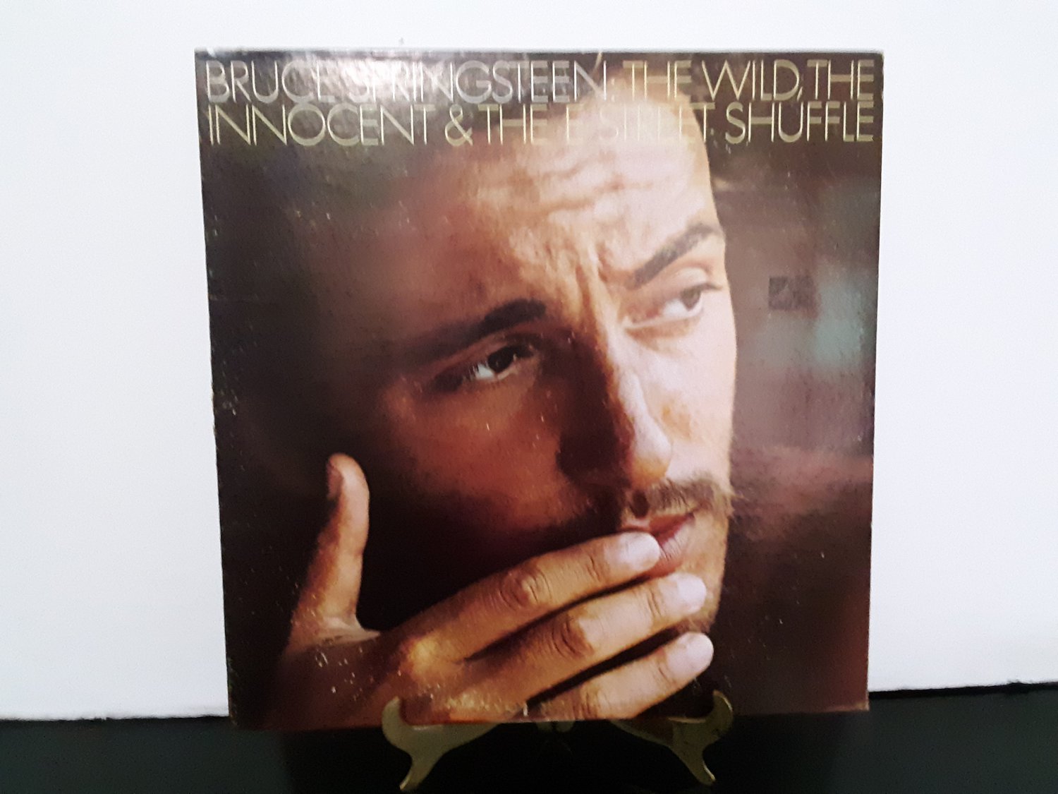 the wild the innocent and the e street shuffle poster