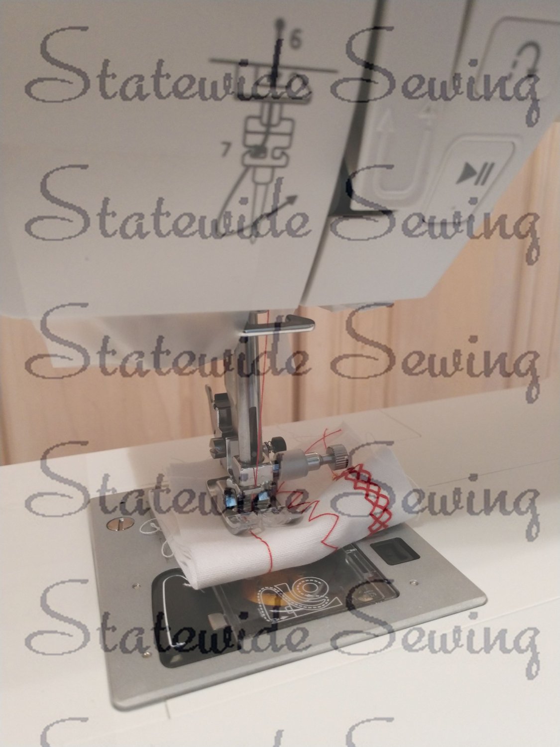 NEW NIB EVERSEWN SPARROW X2 EMBROIDERY FREE ARM SEWING MACHINE WITH HOOPS