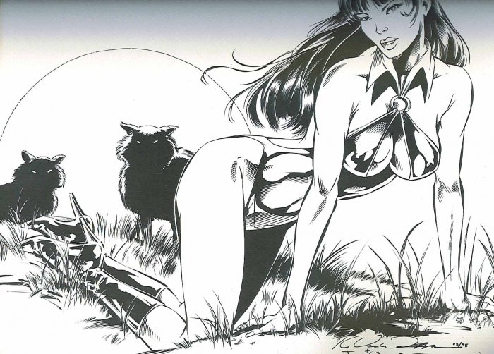 Vampirella Print # 1, 8.0 VF