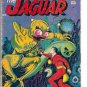 ADVENTURES OF THE JAGUAR # 2, 3.0 GD/VG 