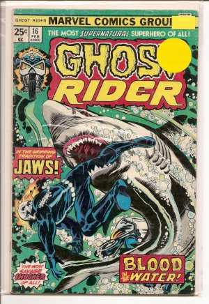 Ghost Rider # 16, 4.0 VG 