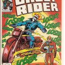 Ghost Rider # 46, 6.0 FN 