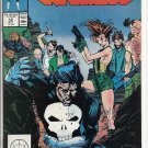 PUNISHER # 12, 8.0 VF 