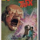 STAR-TREK # 42, 4.5 VG + 