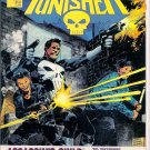 PUNISHER ASSASSIN'S GUILD, 8.0 VF 
