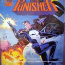 Punisher: Intruder # 1, 9.4 NM 