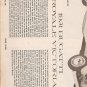 Inst Sheet 1931 Bugatti