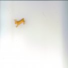 NEANDERTHAL MAN RABBIT HALF # 23, 9.4 NM 