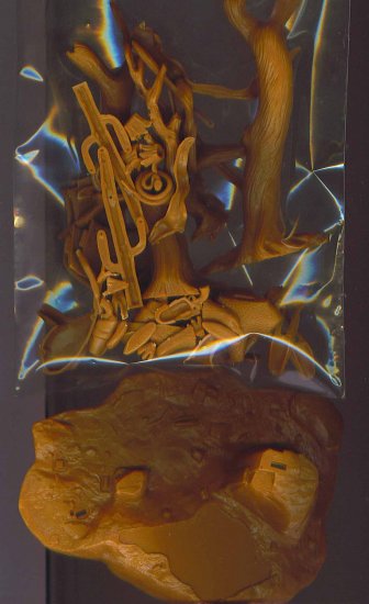Tonto Large Grass Clump # 38, 9.4 NM