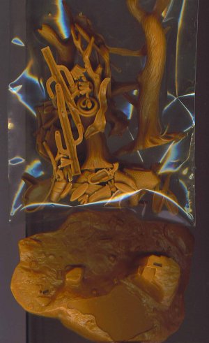 Tonto Small Grass Clump # 36, 9.4 NM 