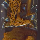Tonto Tree Half # 25, 9.4 NM 