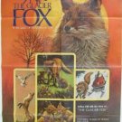 Glacier Fox # 790011, 8.0 VF 