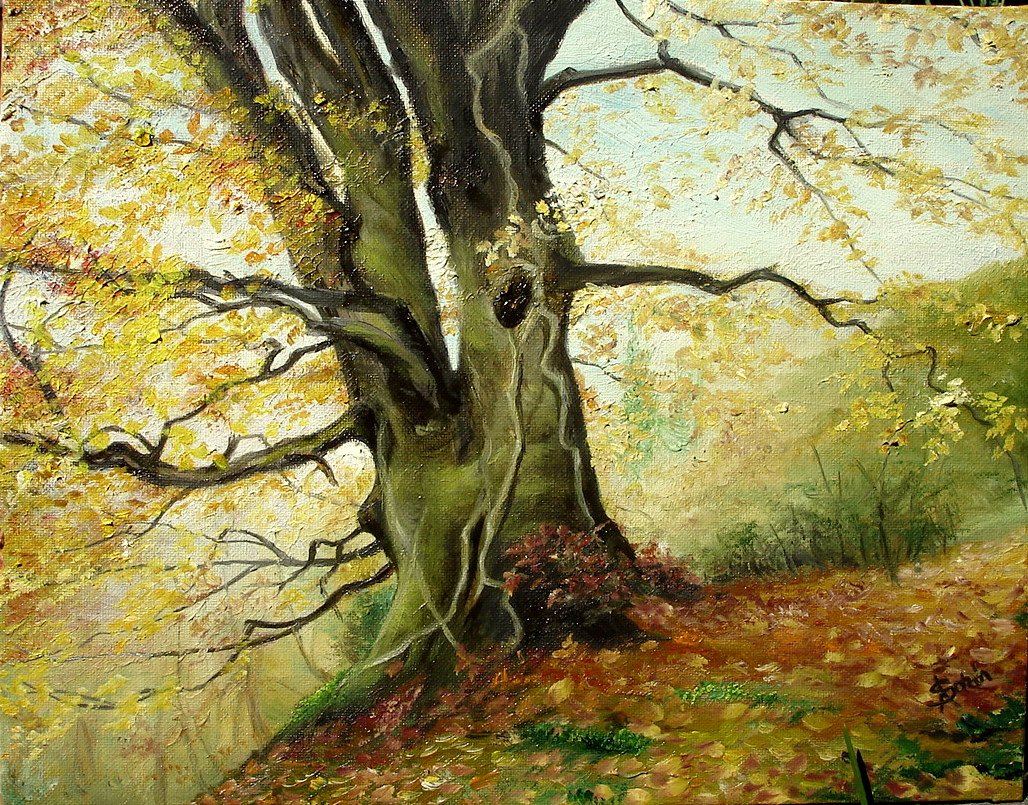 Trees painting. Сорин Апостолеску картины. Дерево живопись. Ствол дерева живопись. Деревья картины художников.