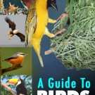 A Guide To Birds
